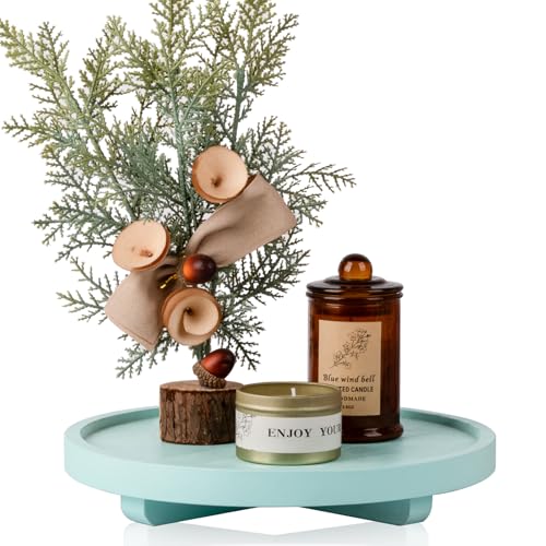 Round Decorative Tray Farmhouse Kitchen Decor Soap Dish, 10" Light Blue | Waterproof, Lightweight, Easy Clean, Wood Riser Pedestal Stand Accessories for Office Desk, Vanity, Counter, Sink - color: Light Blue, size: 10"