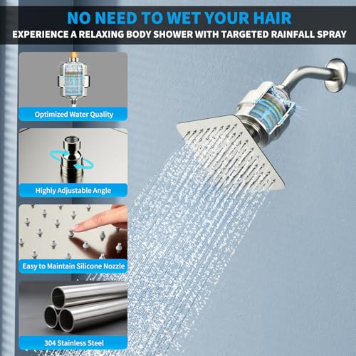 Shower Faucet Set Shower System - EMBATHER Brushed Nickel Push Button Diverter Filtered Dual Shower Faucet Valve Kit with Rain Ceiling Mount 10'' Shower Head 6'' Wall Mount, 9 in 1 Handheld for Couple