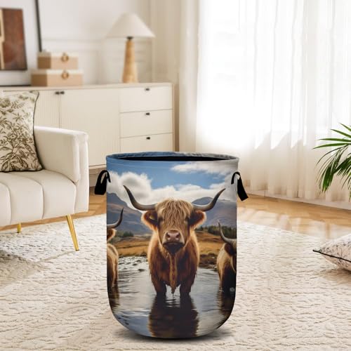 Scottish Highland Cattle Laundry Basket, Laundry Hamper Collapsible Oxford Cloth with Handle Clothes Storage Bin for Bathroom Laundry Room Bedroom 15.7 X 20 Inch - color: Scottish Highland Cattle
