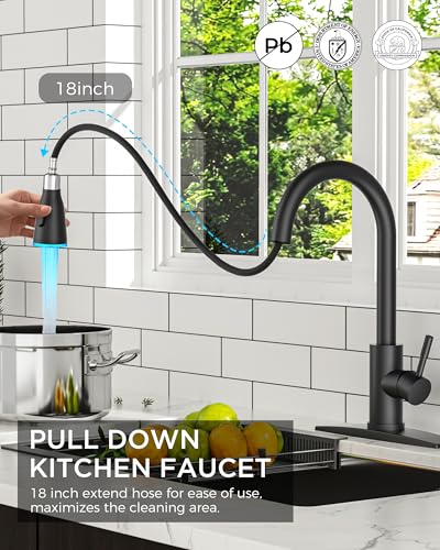 FORIOUS Kitchen Faucet with LED Light Sprayer, Single Hole, Black | Stainless Steel LED Sink Faucet with Pull Down Sprayer, High Arc Single Handle, Suitable for Farmhouse Laundry Camper Rv Bar - color: Matte Black