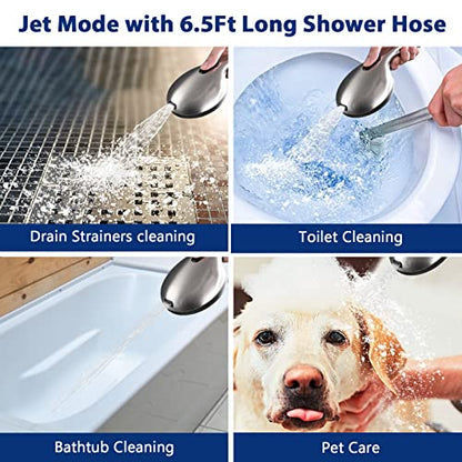 High Pressure 10-Setting Handheld Shower Head, 5" Detachable Shower Spray, 79" Extra Long Stainless Steel Hose, Adjustable Bracket - Brushed Nickel - color: Brushed Nickel