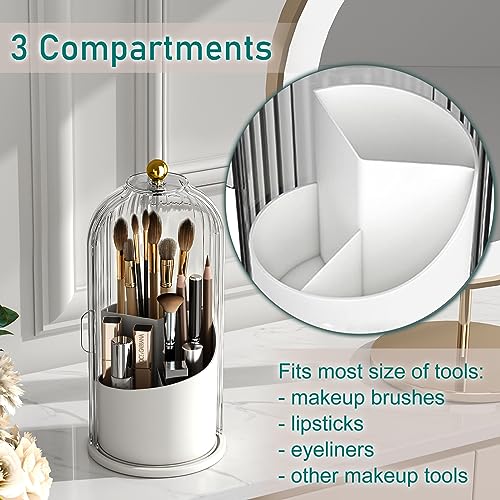 GAXmi Makeup Brush Holder with Lid Rotating Cosmetic Organizer, Transparent | 360 Rotation, Waterproof, Dustproof, Moistureproof - color: Transparent