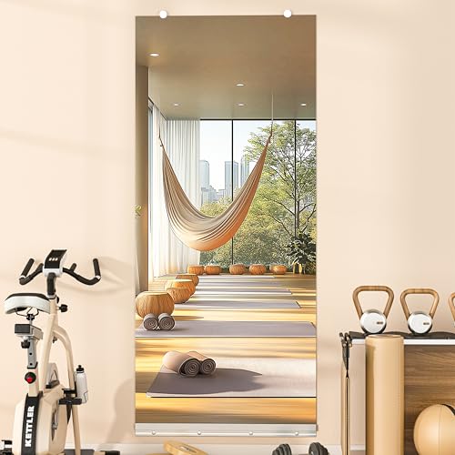 Hasipu Full Length Wall Mirror, 63"x28" Each, 1-Pack Frameless Wall Mounted Mirrors with Glass Clamps & Aluminum Rail, Large Body Mirror for Home Gym, Yoga Studio, Bedroom, Silver Tempered Glass - size: 63"L x 28"W