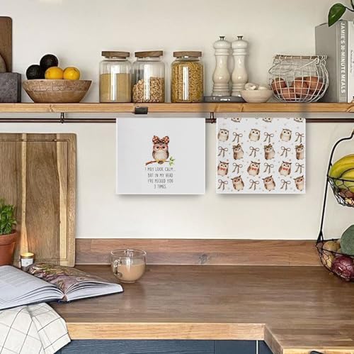 Owl Gifts Kitchen Towels Set - Owl Leopard Bow Decorative Waffle Dish Towels, Funny Bird Gifts Hand Towel, Bird Watching Gift Tea Towel, 16x24 Inch Set of 2 - color: Owl