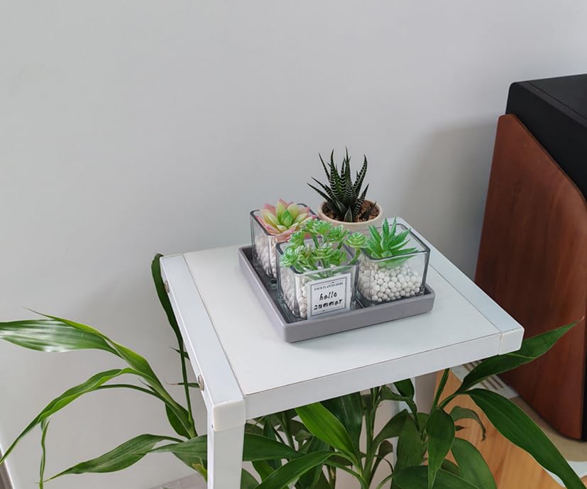 Small Mini Square Tray (5.9 inch) 3 Pack, Hard Plastic Gray Tray | 5.9"x5.9"x0.8" Tiny, Sturdy, Solid Tray, Lightweight for Coffee, Desserts, Drinks, Party, Seasoning, Perfume and Display. - color: Gray - 3 Tray, size: 5.9" x 5.9" x 0.8"