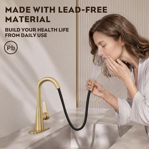 Brushed Gold Tall Bathroom Sink Faucet with Pull Down Sprayer, High Arc Single Handle Pull Out Faucet with Pop-Up Drain, 1 or 3 Hole Laundry Bar Basin Faucet with Deck Plate,WE10CL-ZY-BG - color: Brushed Gold