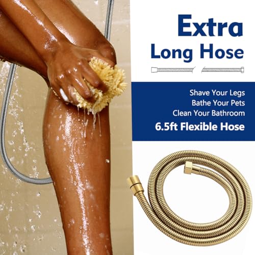 High Pressure 10 Setting Handheld Shower Head, 5" Detachable Showerhead Spray Built-in Power Wash to Clean Tub, Tile & Pets, 79" Extra Long Stainless Steel Hose, Adjustable Bracket - Gold - color: Zirconium Gold