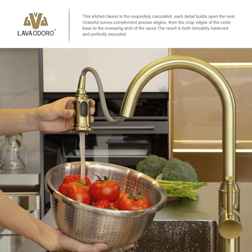 Lava Odoro Brushed Gold Kitchen Faucet with Pull Down Sprayer | Single Handle Kitchen Sink Faucet with 3-Function Sprayer, Deck Plate Included, 1.8GPM, KF421-SG - color: Brushed Gold, style: Standard