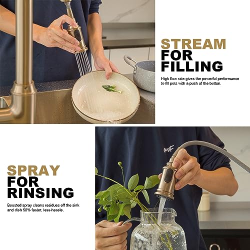Lava Odoro Champagne Gold Kitchen Faucet with Pull Down Sprayer | Single Handle Kitchen Sink Faucet, Gold Faucet for Kitchen Sink 1 Hole, Deck Plate Included, KF421-CB - color: Champagne Gold, style: Standard
