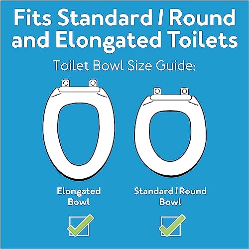 Carex E-Z Lock Raised Toilet Seat with Armrest, Weight Capacity 300 lbs