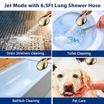 High Pressure 10 Setting Handheld Shower Head, 5" Detachable Showerhead Spray Built-in Power Wash to Clean Tub, Tile & Pets, 79" Extra Long Stainless Steel Hose, Adjustable Bracket - Gold - color: Zirconium Gold