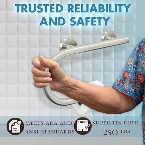 Grab Bar Toilet Paper Holder - Bathroom Safety Aid/304 Stainless Steel/Left/Brush Finish/ 16.5"x 10" - color: Brushed Stainless Steel, Left Hand