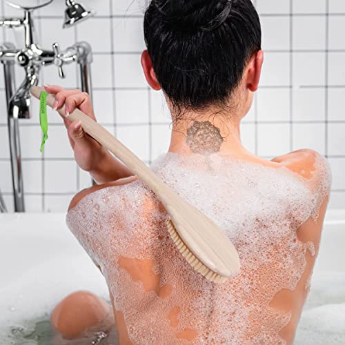 EcoTools Bristle Bath Brush, Shower Body Brush with Gentle, Stiff Bristles, Long Bamboo Handle, Gently Exfoliating for Back & Body, Stimulates Blood Circulation, Eco-Friendly, 1 Count (Pack of 2) - size: 1 Count (Pack of 2)