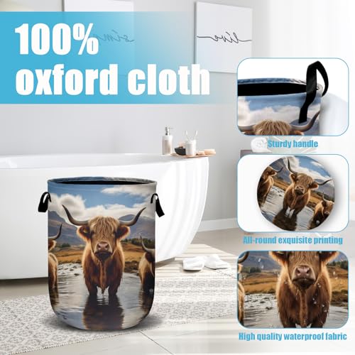 Scottish Highland Cattle Laundry Basket, Laundry Hamper Collapsible Oxford Cloth with Handle Clothes Storage Bin for Bathroom Laundry Room Bedroom 15.7 X 20 Inch - color: Scottish Highland Cattle