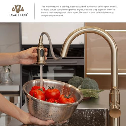 Lava Odoro Champagne Gold Kitchen Faucet with Pull Down Sprayer | Single Handle Kitchen Sink Faucet with 3-Function Magnetic Sprayer for Sink 1 Hole, 1.8 GPM, Deck Plate Included, KF421-M-CB - color: Champagne Gold, style: 3-Mode, Magnetic