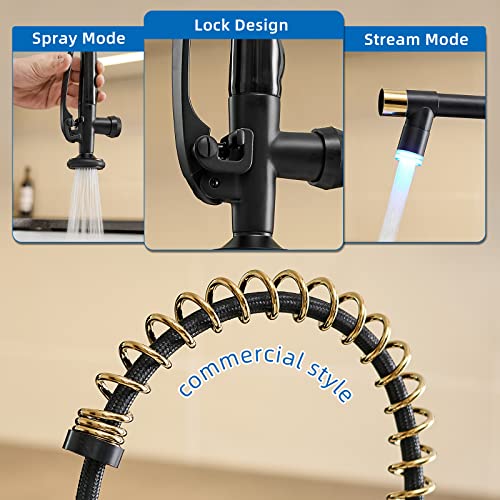 Fapully LED Kitchen Faucet with Pull Down Sprayer,Black&Gold | Commercial Kitchen Faucet for Kitchen Sink - color: Black&Gold, style: Modern