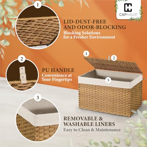 CAPHAUS Laundry Basket with Lid & Handles, Foldable Clothes Hamper, Large 65L Synthetic Rattan Storage Bin with 2 Removable Liner Bags, Collapsible Laundry Hamper, Brown - color: Brown, size: 17.2 Gal (65L)