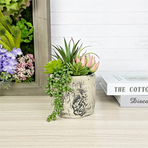 Succulents Plants Artificial, Faux Succulent Plants in Elegant Ceramic Pot Assorted Faux Potted Succulent Plant for Home Living Rooms Bedroom Décor (7.9)