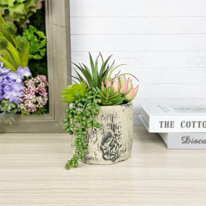 Succulents Plants Artificial, Faux Succulent Plants in Elegant Ceramic Pot Assorted Faux Potted Succulent Plant for Home Living Rooms Bedroom Décor (7.9)
