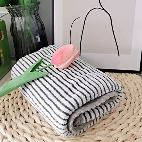 Kissvian 2 Pack Microfiber Hand Bath Towel Set, Superfine Fibre Coral Velvet Bathroom Towels with Hanger, Soft and Absorbent Washcloths for Hand Face Bath Spa Yoga Fitness, Size 13.4" x 30"