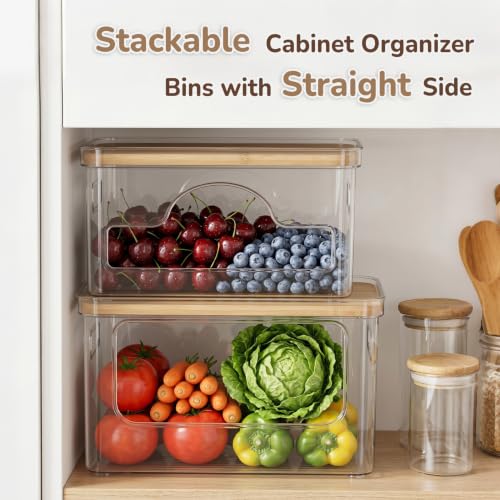 Hudgan Potato and Onion Storage Bin for Pantry Organizers Straight Side, Stackable, 2 Set