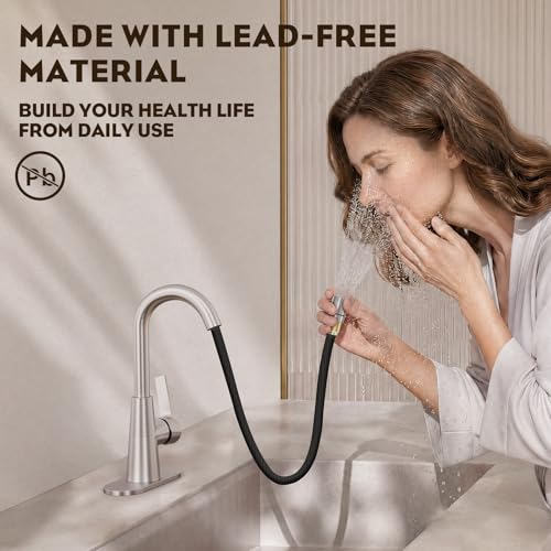 Tall Bathroom Faucets with Pull Down Sprayer, Brushed Nickel High Arc Single Handle Pull Out Faucet, 1 or 3 Hole Utility Sink Laundry Bar Faucet Pull Out with Deck Plate WE10CL-ZY-BN - color: Brushed Nickel
