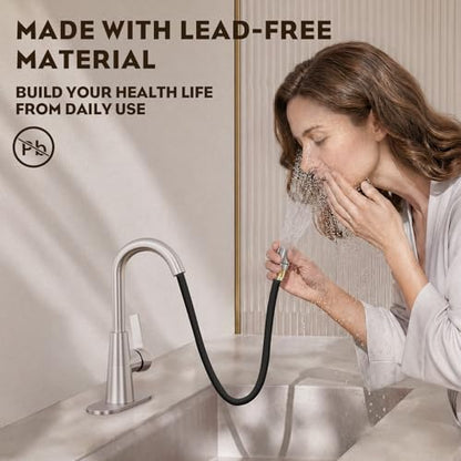 Tall Bathroom Faucets with Pull Down Sprayer, Brushed Nickel High Arc Single Handle Pull Out Faucet, 1 or 3 Hole Utility Sink Laundry Bar Faucet Pull Out with Deck Plate WE10CL-ZY-BN - color: Brushed Nickel