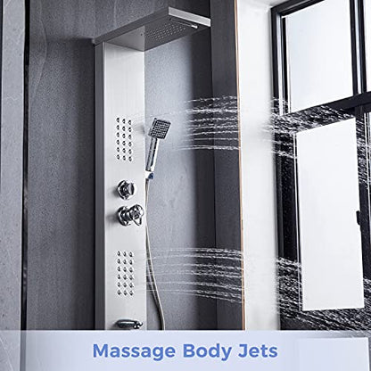 DELAVIN Stainless Steel Shower Panel Tower System, Wall-Mount Shower Panel | Rainfall Waterfall Shower Head, Massage Jets, Tub Spout, Handheld Shower, for Renovation, New Builds, Rentals & Contractors - color: Brushed Nickel-A
