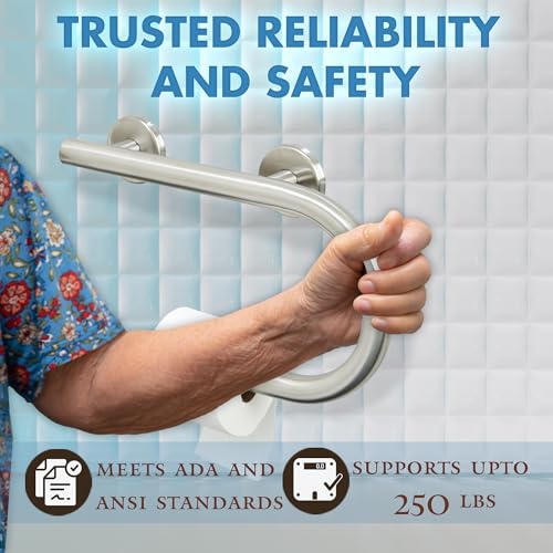 Grab Bar Toilet Paper Holder - Bathroom Safety Aid/304 Stainless Steel/Right/Brush Finish/16.5"x 10" - color: Brushed Stainless Steel, Right Hand