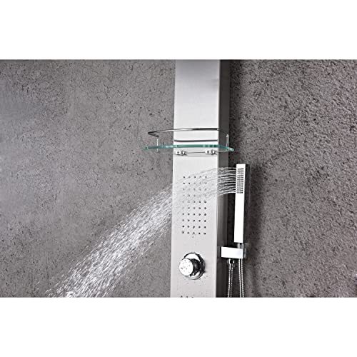 ANZZI Shower Head Panel Tower System | Coastal | Brushed Stainless Steel | Includes One 1 Field Full Body With Dual Level Deco Glass, Free-Reign Euro Grip Handheld Sprayer With 60 In. Hose - color: Brushed Steel, style: 2 Jets