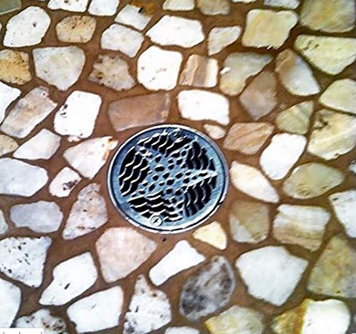 3.25" Round Shower Drain Cover – Starfish Design – 304 Stainless Steel – Fits Oatey, Sioux Chief, AB&A