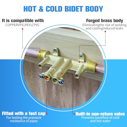 Brushed Nickel Handheld Warm Water Bidet Sprayer Mounted on the Wall, Concealed Hot and Cold Bidet Sprayer with Mixing Valve for Toilet - color: Brushed Nickel