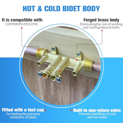 Brushed Nickel Handheld Warm Water Bidet Sprayer Mounted on the Wall, Concealed Hot and Cold Bidet Sprayer with Mixing Valve for Toilet - color: Brushed Nickel