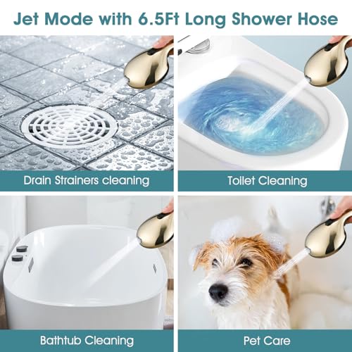 Hand Shower with Slide Bar, High Pressure 10 Setting Handheld Shower Head, Adjustable Height 24" Slide Bar, Wall Supply Elbow and 6.6ft Extra Long Shower Hose - Gold - color: Zirconium Gold