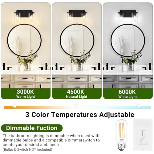 2-Light Black Bathroom Vanity Light, Modern Bathroom Lighting Fixtures with Clear Glass Shade, Bathroom Wall Mounted Lamps for Mirror, Living Room, Bedroom, E26 Socket - size: 2-Light