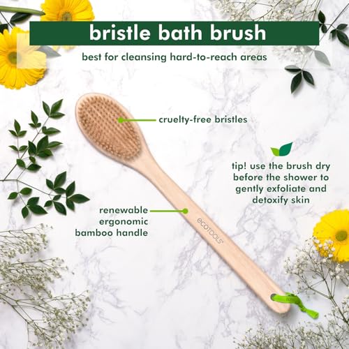 EcoTools Bristle Bath Brush, Shower Body Brush with Gentle, Stiff Bristles, Long Bamboo Handle, Gently Exfoliating for Back & Body, Stimulates Blood Circulation, Eco-Friendly, 1 Count (Pack of 2) - size: 1 Count (Pack of 2)