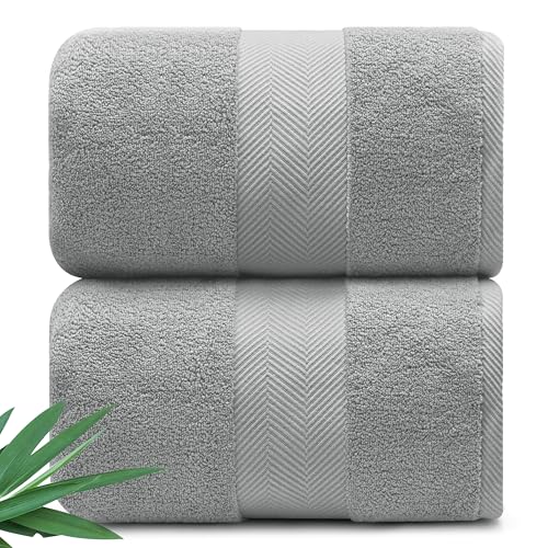 Alusa Home Ultra Soft & Plush Viscose from Bamboo Bath Sheets - 700 GSM Pack of 2 - Extra Large 70x35 in - Super Absorbent & Quick Drying (Pewter Grey) - color: Pewter, size: 2pc Bath Sheets