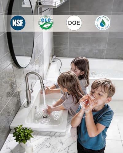 Bathroom Faucets with Pull Down Sprayer, Bar Sink Faucet Single Hole for Kitchen Campers with Pop-Up Drain Hose, Suitable for Farmhouse Vanity Lavatory - color: Brushed Nickel, style: Pull Down
