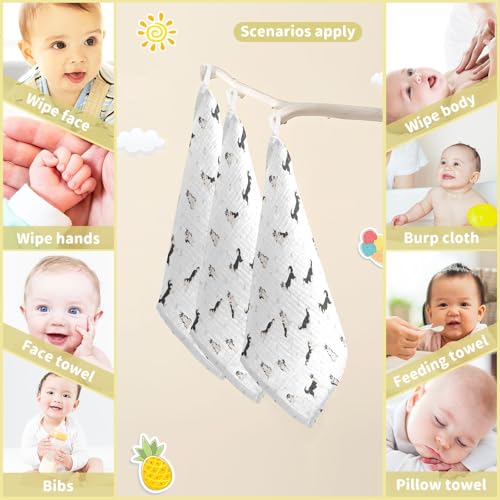 Baby Siberian Husky Dog Msulin Washcloths Newborn Face Towel - Baby Muslin Burp Cloths 5 Pack Soft Absorbent Natural Cotton Wash Towel 11.8"X11.8" Baby Bath Towels Wipes - size: one sizex5