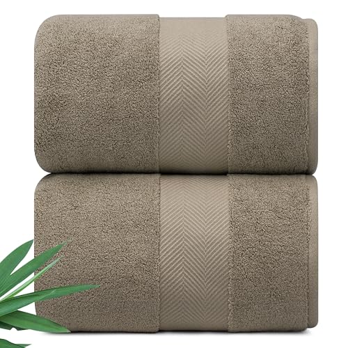 Alusa Home Ultra Soft & Plush Viscose from Bamboo Bath Sheets - 700 GSM Pack of 2 - Extra Large 70x35 in - Super Absorbent & Quick Drying (Taupe) - color: Taupe, size: 2pc Bath Sheets