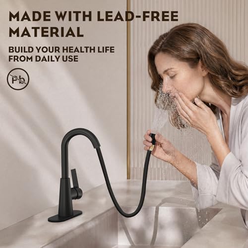 High Arc Bathroom Sink Faucet with Pull Down Sprayer, Tall Matte Black Single Handle Pull Out Faucet with Pop-Up Drain, 1 or 3 Hole Laundry Bar Basin Faucet with Deck Plate WE10CL-ZY-MB - color: Matte Black