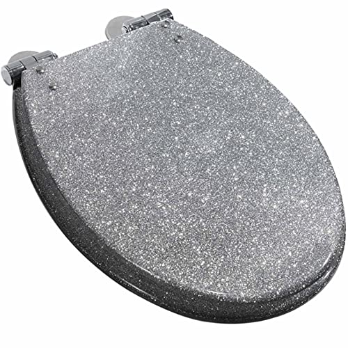 Black Quick Release Toilet Seat with 360 Degree Adjustable Hinge, Easy Clean, Oval Shape, Simple Top and Bottom Fixing - color: Silver