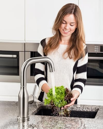 Bar Sink Faucet Single Hole: ARCORA Brushed Nickel Wet Bar Faucets - Prep Sink Faucet 360 Swivel - Small Kitchen Bathroom Faucet with cUPC Supply Lines - color: Brushed Nickel
