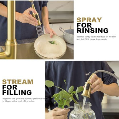 Lava Odoro Brushed Gold Kitchen Faucet with Pull Down Sprayer | Single Handle Kitchen Sink Faucet with 3-Function Sprayer, Deck Plate Included, 1.8GPM, KF421-SG - color: Brushed Gold, style: Standard