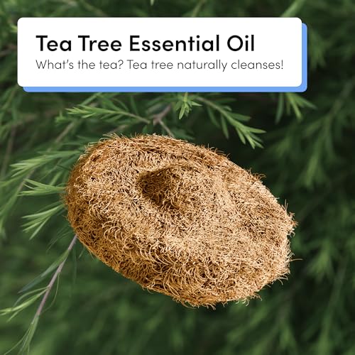 TUSHY Tea Tree Coconut Husk Scrubbing Pads, Cleanser-Infused, 16 Pack | No Bowl Cleaner Needed, Planet Friendly Refills for the Toilet Brush 2.0 Set - style: 16 Pad Refills (Tea Tree)