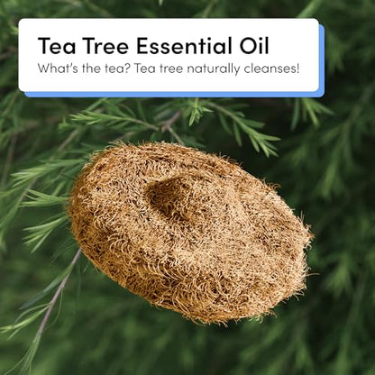 TUSHY Tea Tree Coconut Husk Scrubbing Pads, Cleanser-Infused, 16 Pack | No Bowl Cleaner Needed, Planet Friendly Refills for the Toilet Brush 2.0 Set - style: 16 Pad Refills (Tea Tree)
