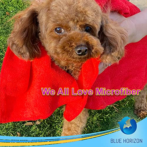Blue Horizon Microfiber Cleaning Towels, Pack of 24, Ultra Soft Plush Washcloth, All Purpose Premium Microfiber Detailing Cleaning Cloths Reusable Shop Towels (16" x 16", Red) - color: Red