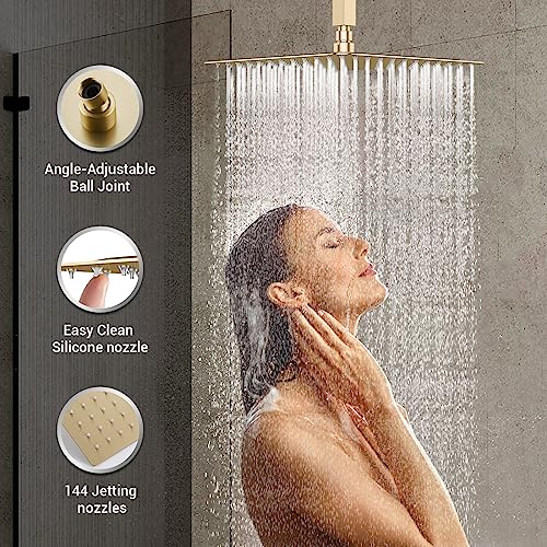 DASAN Full Body Shower System with 6 PCS Body Spray Jets & 12'' Rain Shower Head & Handheld, Ceiling Mount Rain Shower System Brushed Gold Shower Faucets Sets Complete with Valve, SA-SS03ABG-S12C - color: Brushed Gold