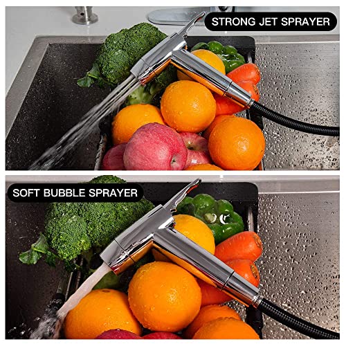 Houtingmaan Kitchen Sink Sprayer Replacement, Side Sprayer Head | with Hose and17 ADAPTERS, Chrome - color: Chrome, style: Dual Function Mode